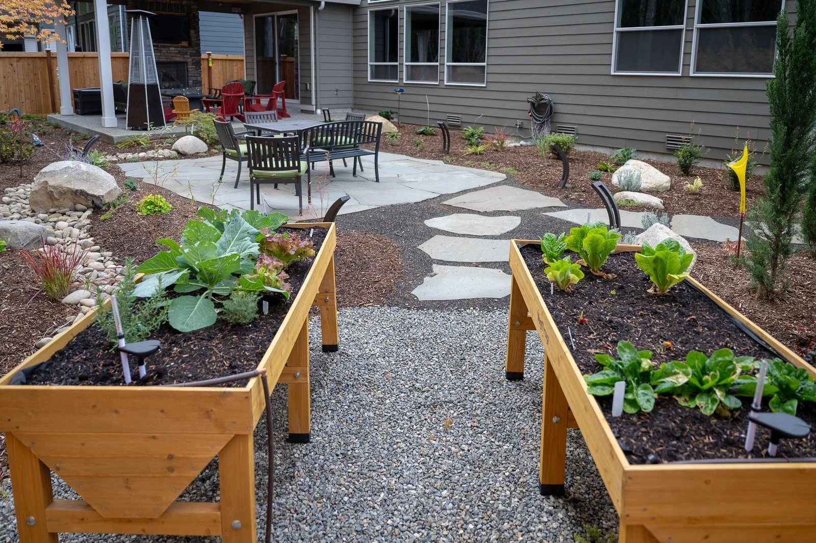 Raised cedar veggie beds filled with greens 1.jpg