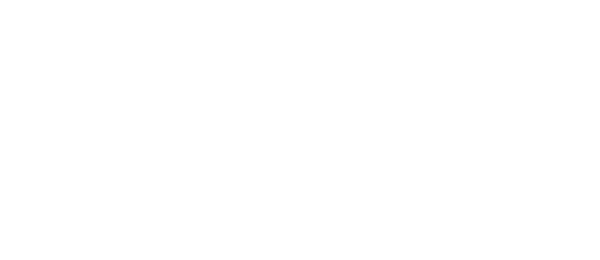 ses-aviation.png