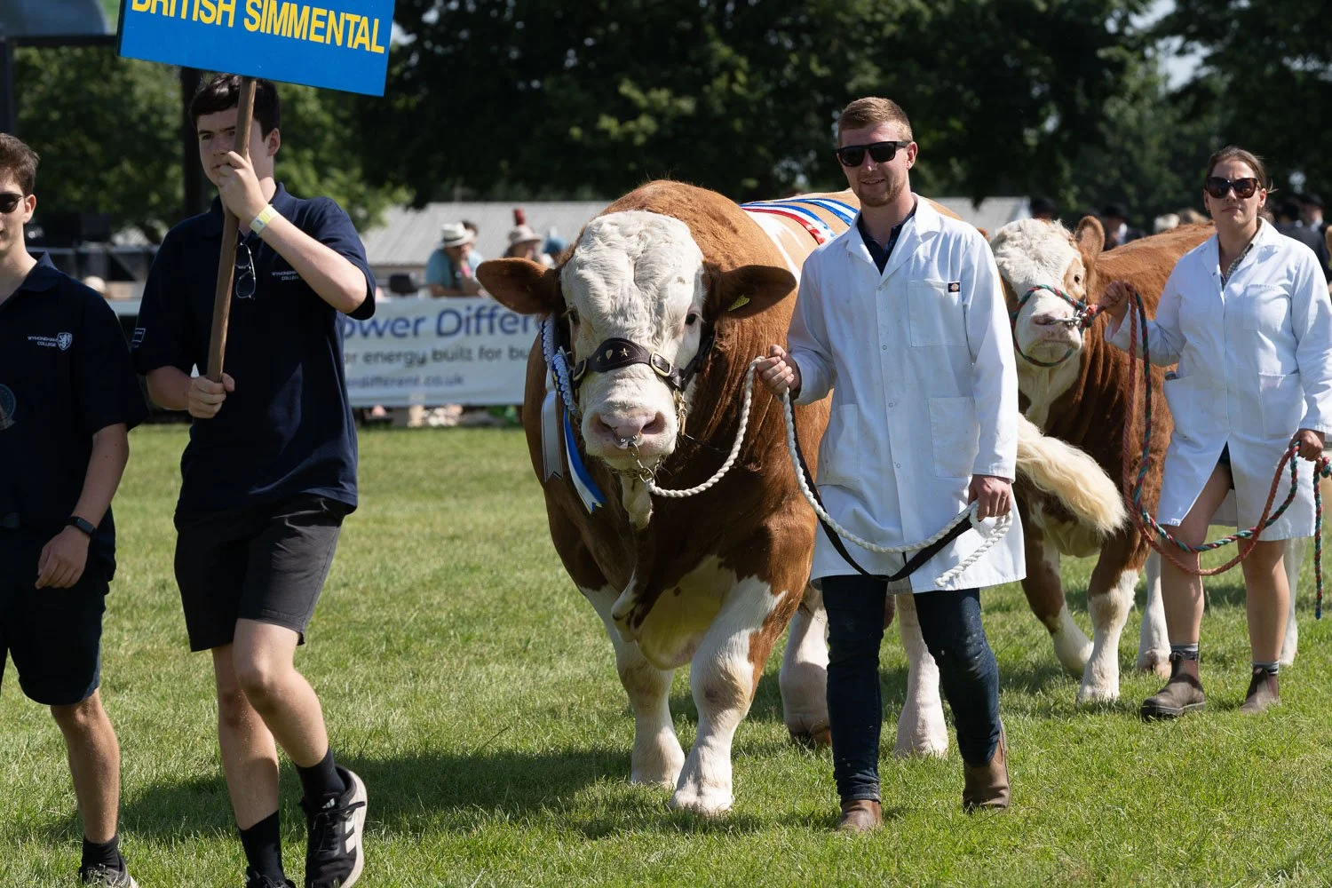 Royal Norfolk Show