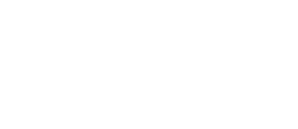 norfolk-county-council.png