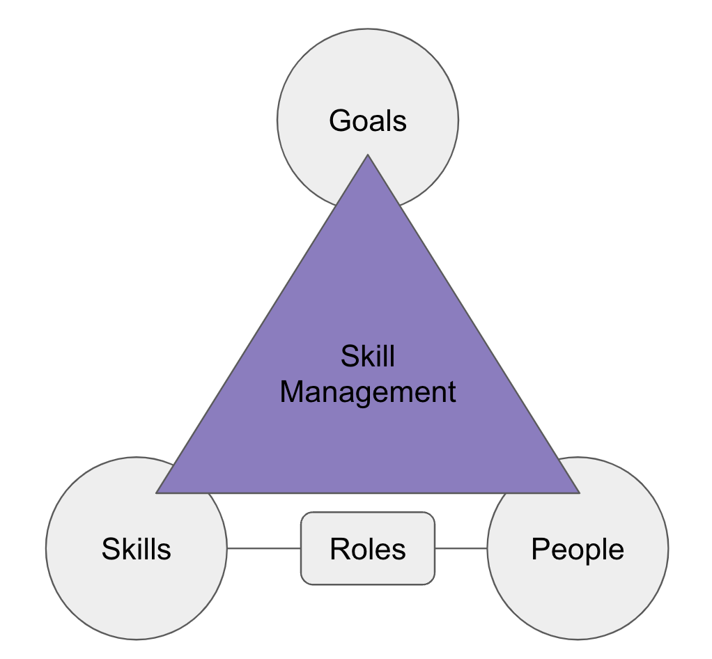 The skill management triangle