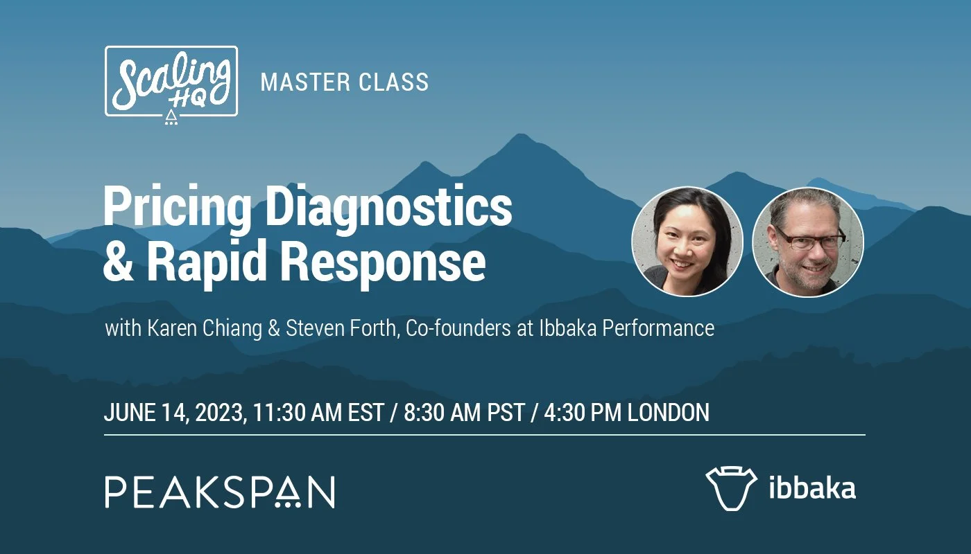 Pricing-Diagnostics-and-Rapid-Response-PeakSpan-Ibbaka-MasterClass-2023.jpg
