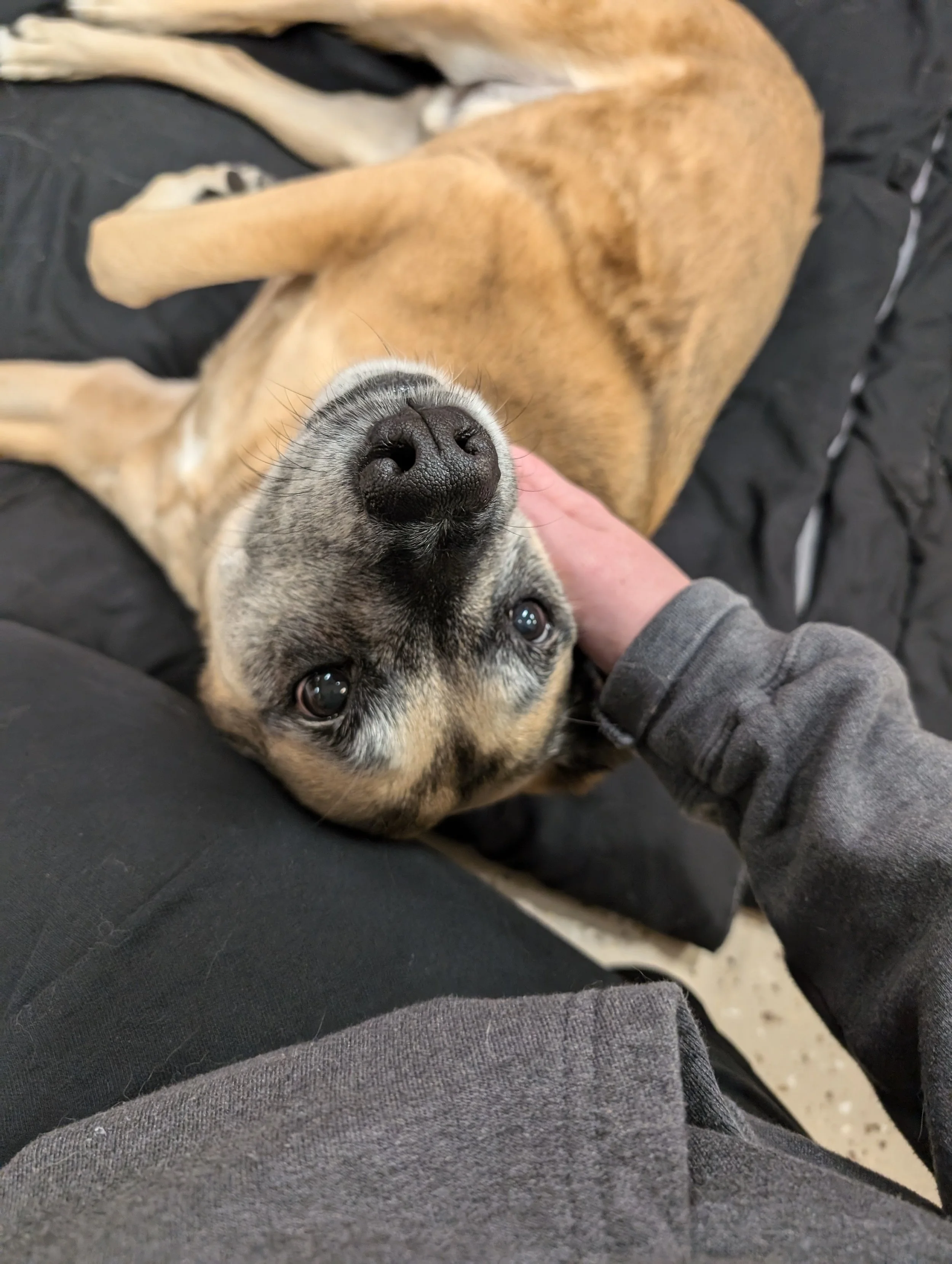 PXL_20250601_113845321 (1).jpg