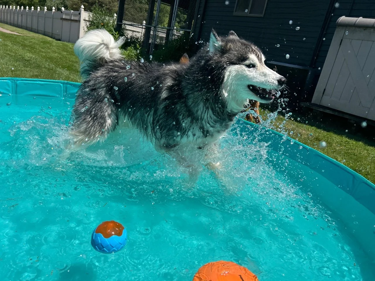 92646f1443c034a65541053a86299c9c.jpeg