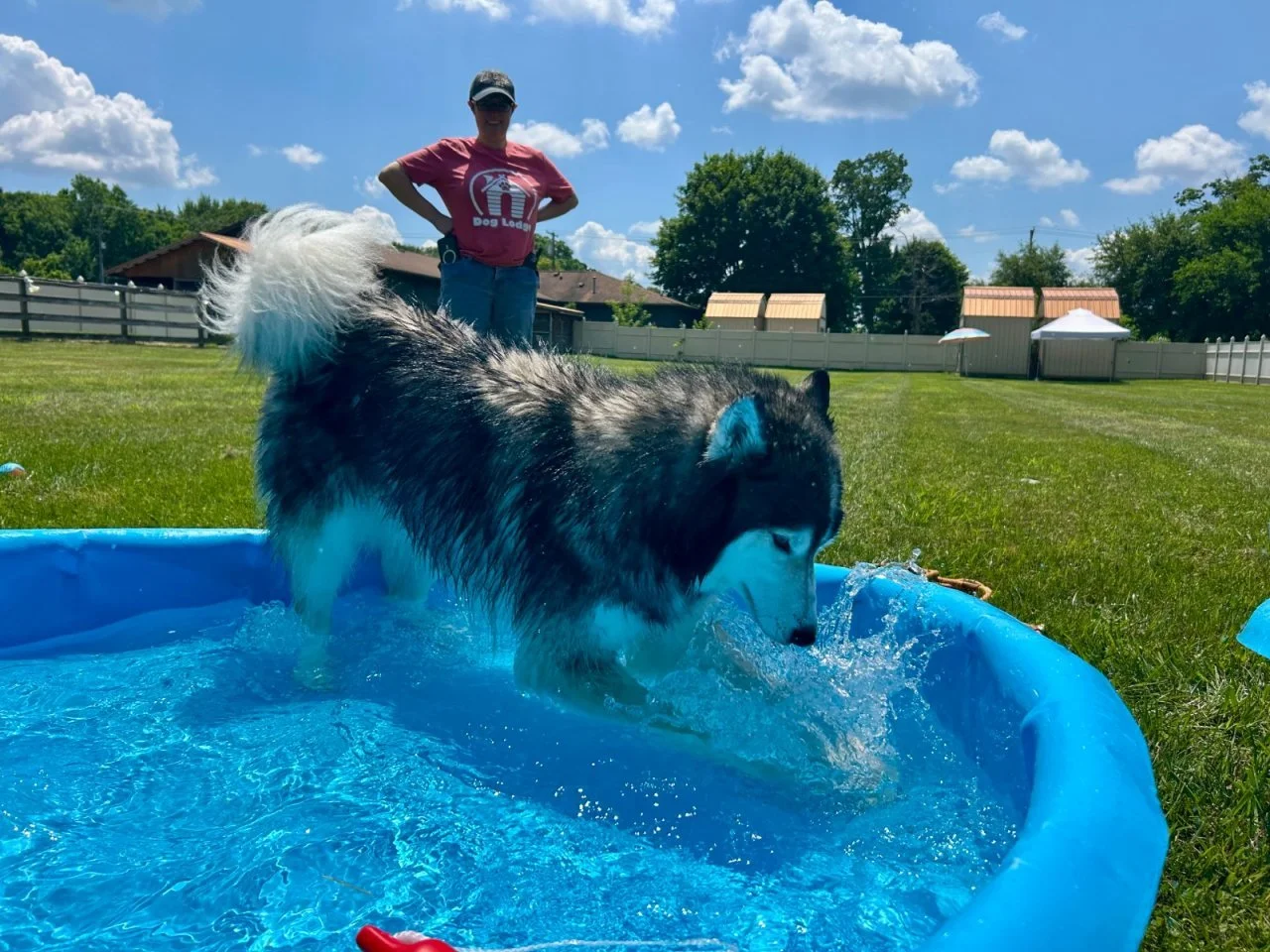 Splash Bash (8).jpeg