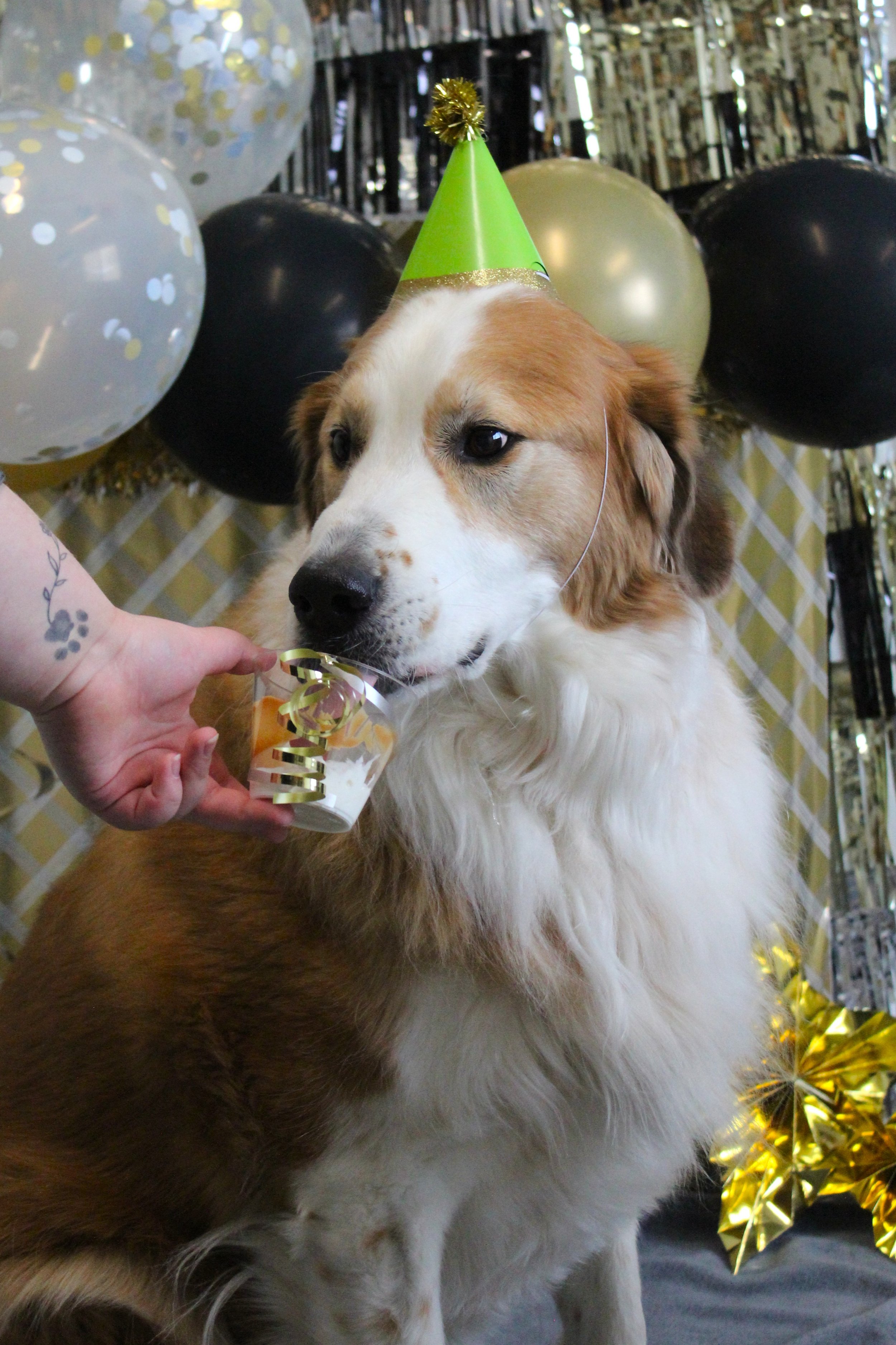 Finley.JPG
