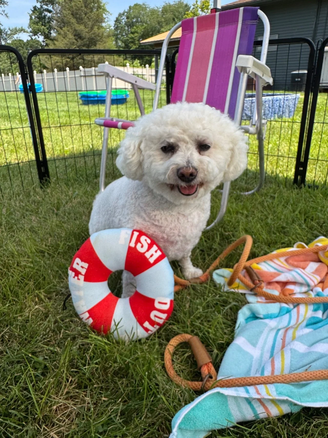 Splash Bash (10).jpeg