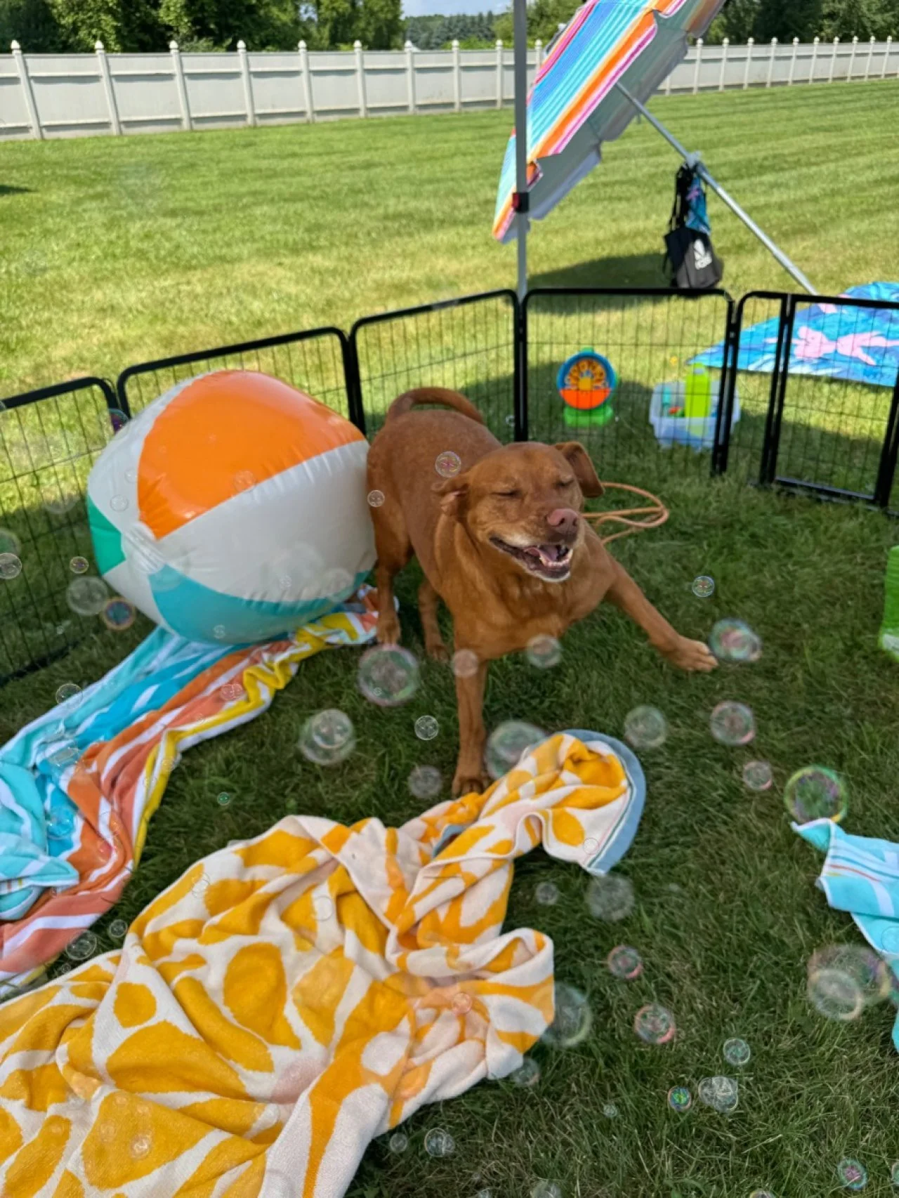 Splash Bash (11).jpeg