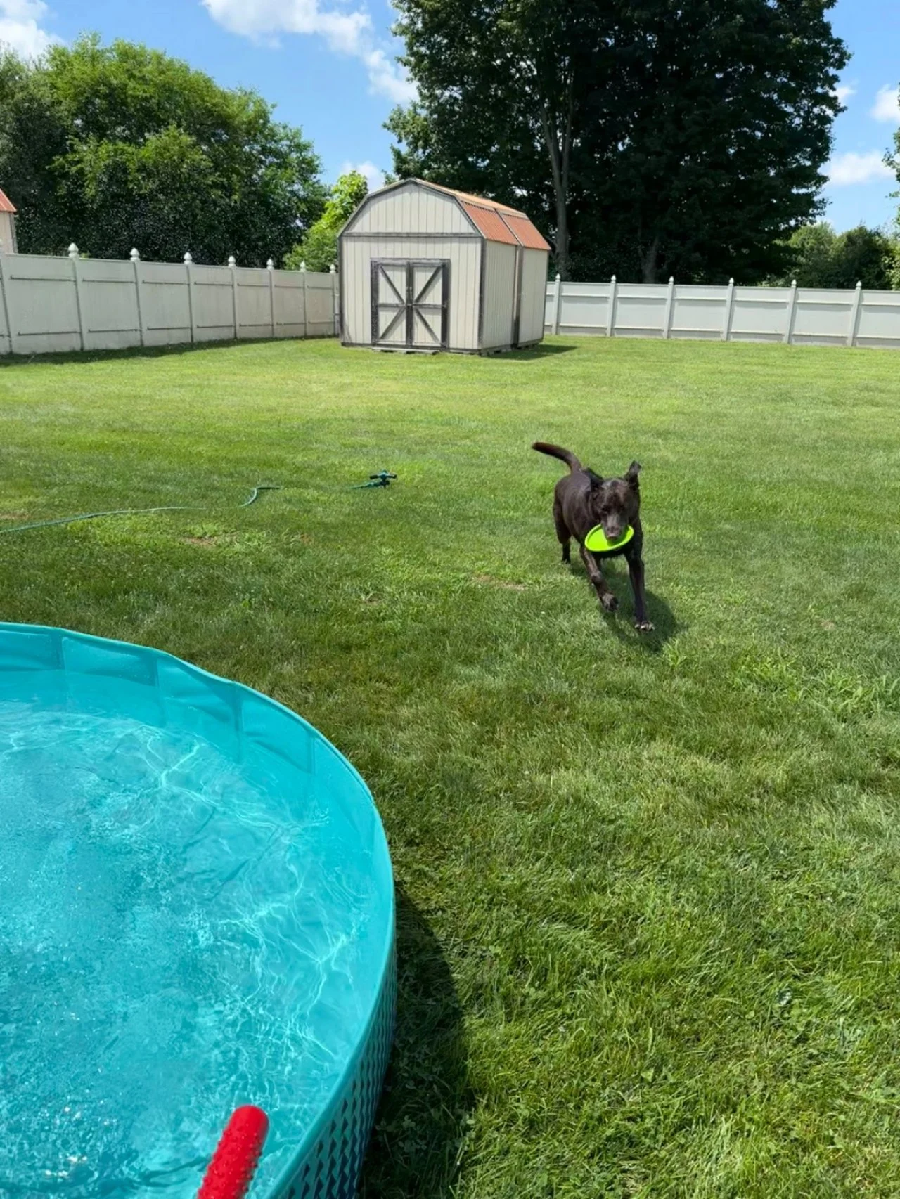 Splash Bash (17).jpeg