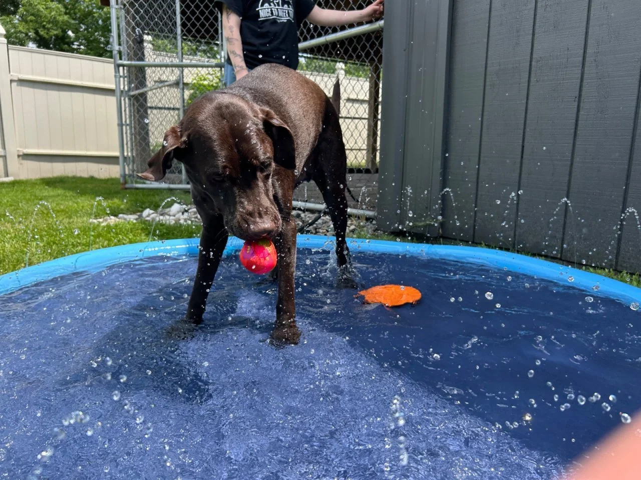 Splash Bash (15).jpeg