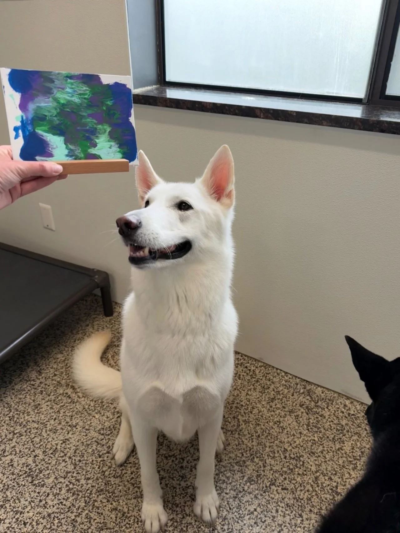 ff7147e18d041090f859c91a6e99e620.jpeg
