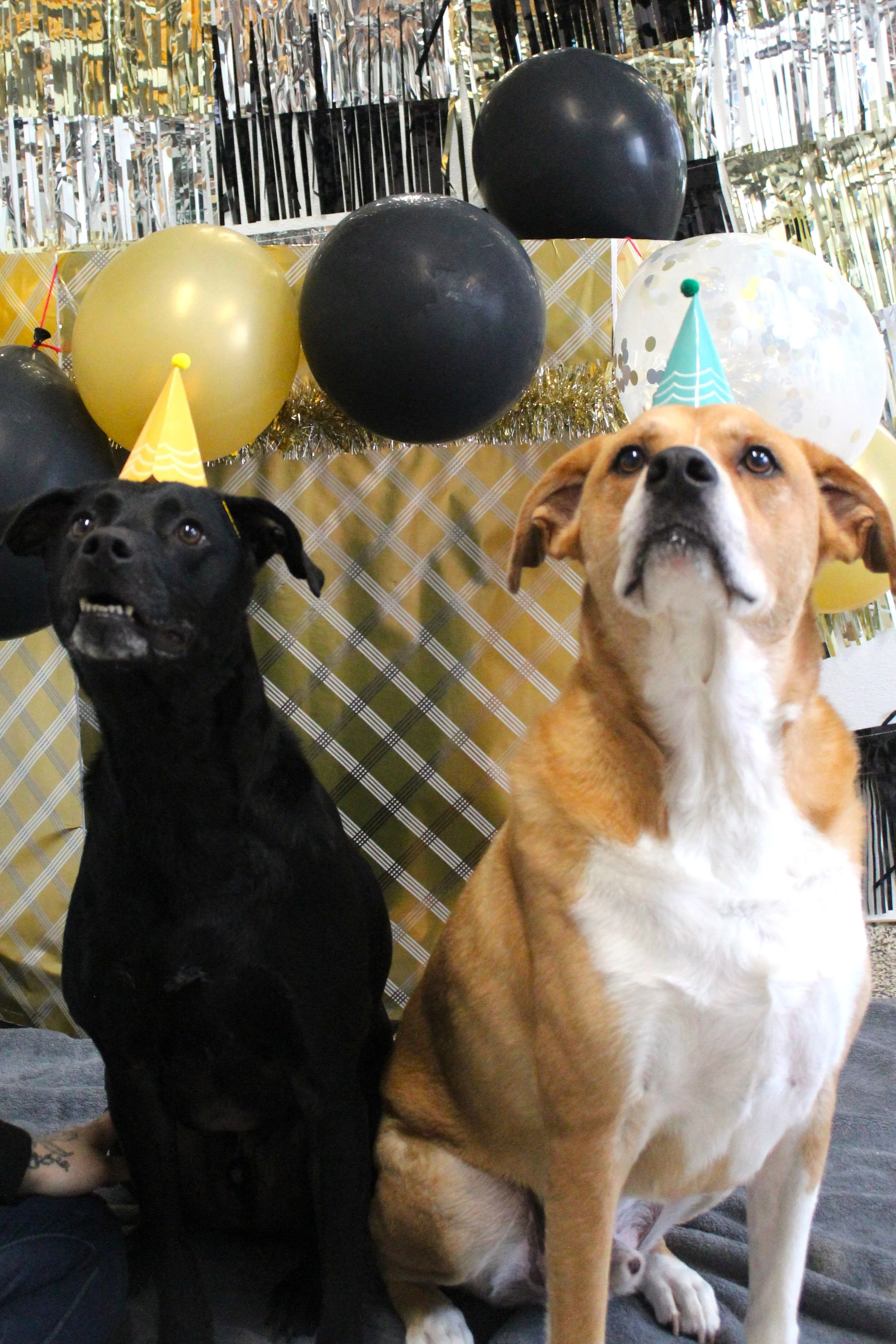 Bentley & Oxley.JPG