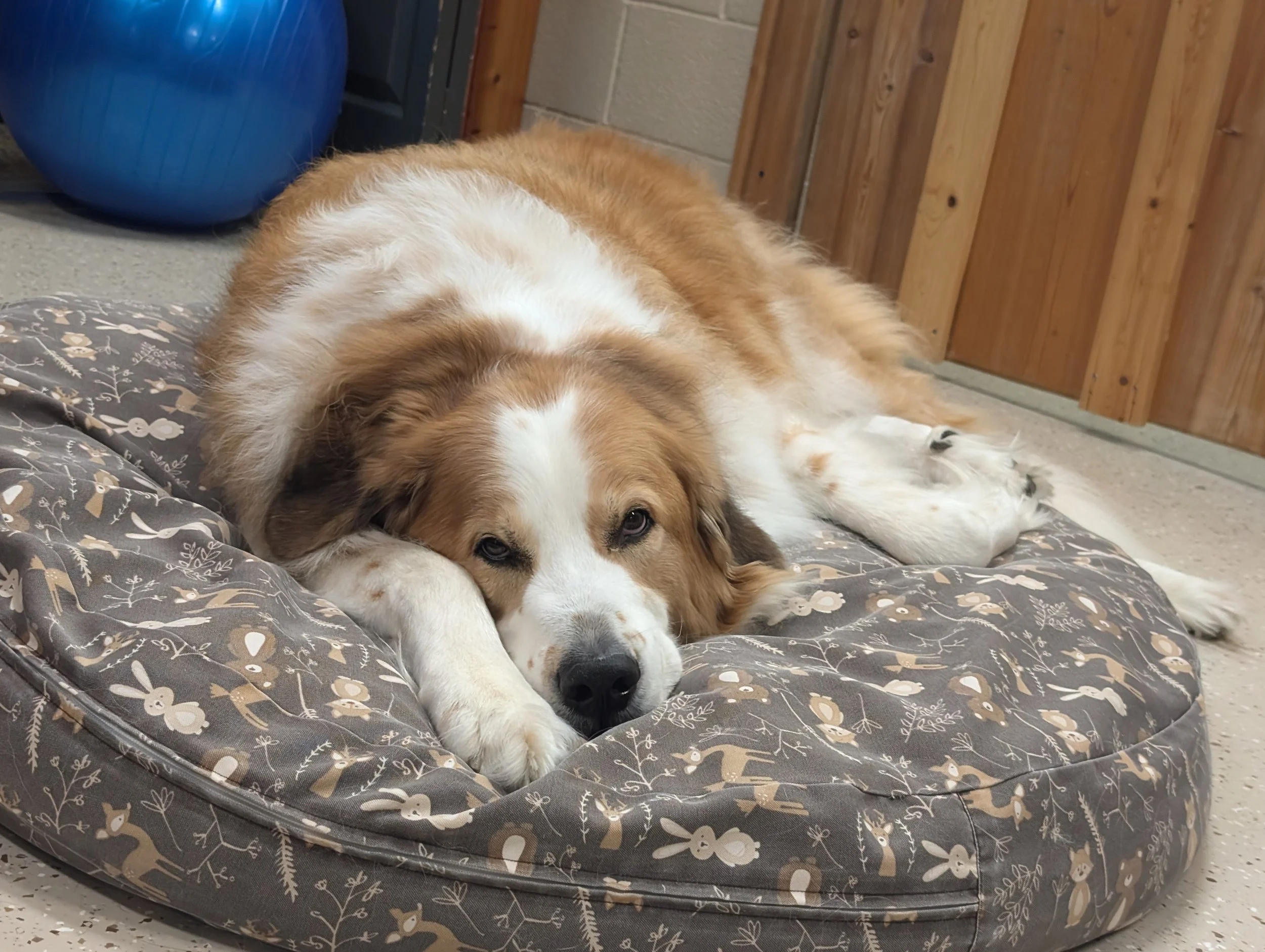 PXL_20250820_194048108 (2).jpg