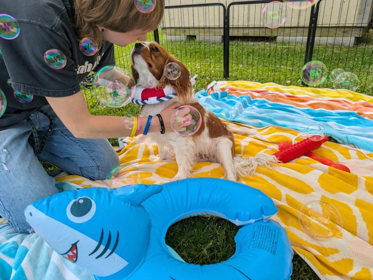 Splash Bash (2).jpg