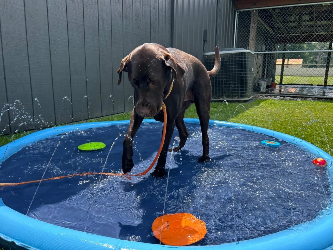 Splash Bash (16).jpeg