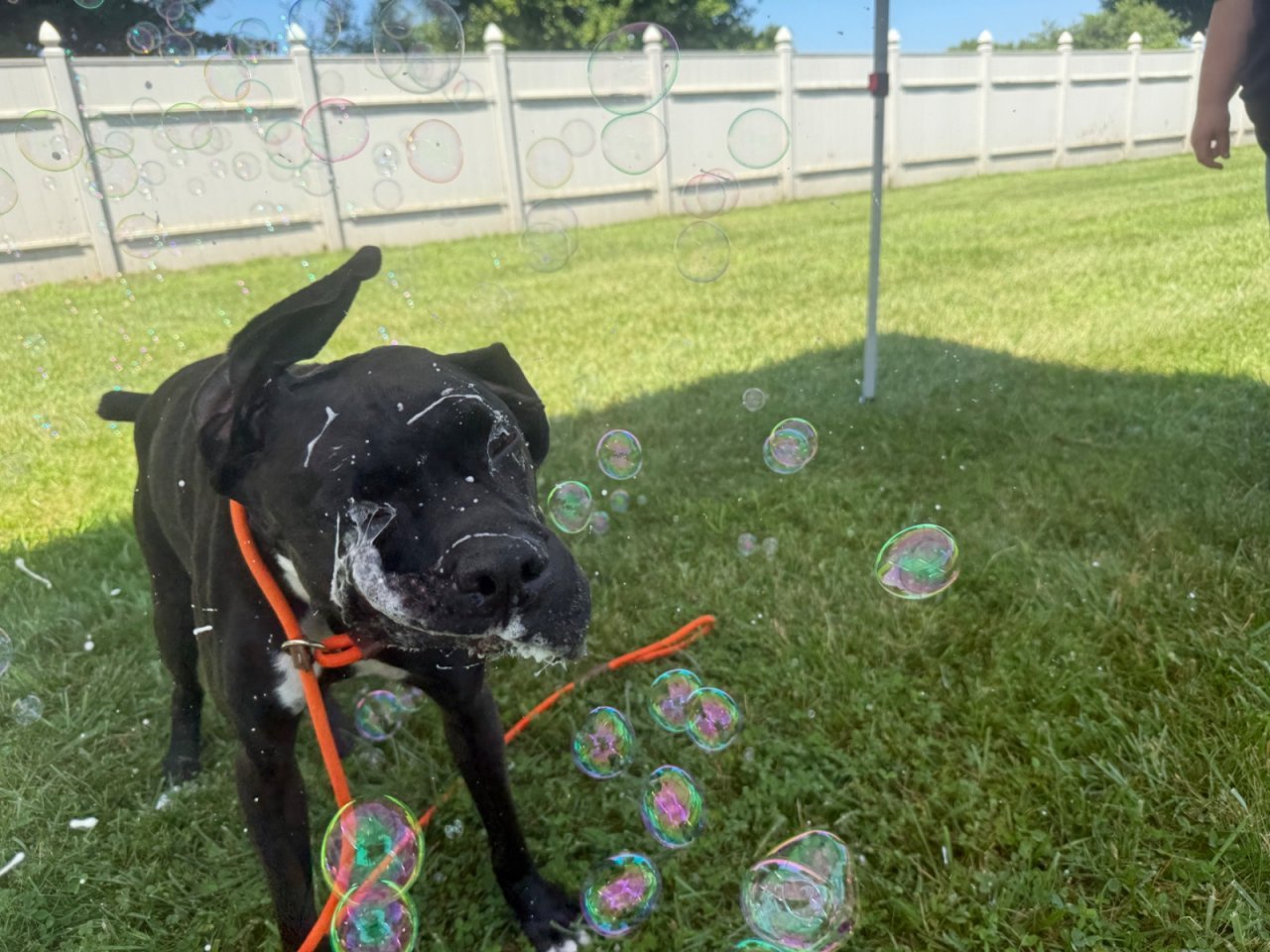 Splash Bash (9).jpeg