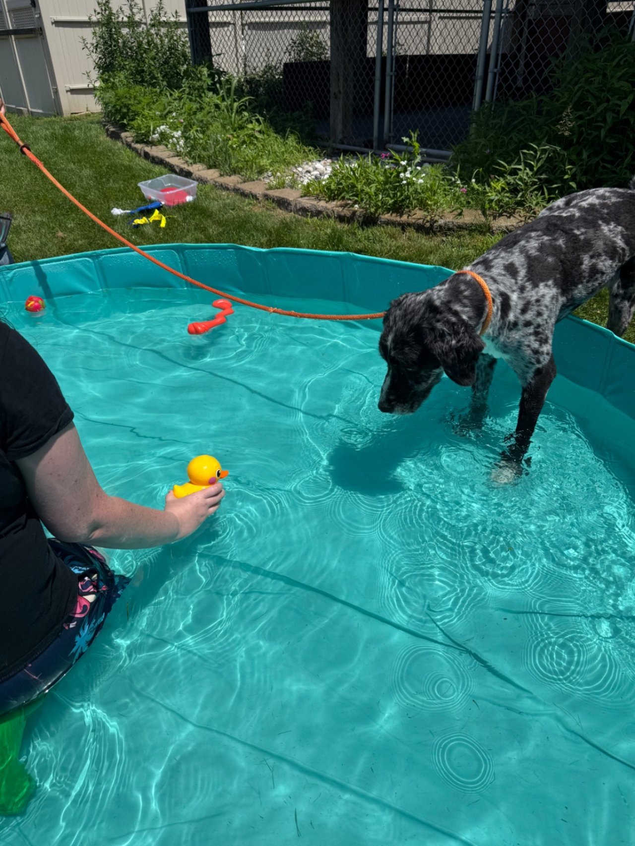 Splash Bash (22).jpeg