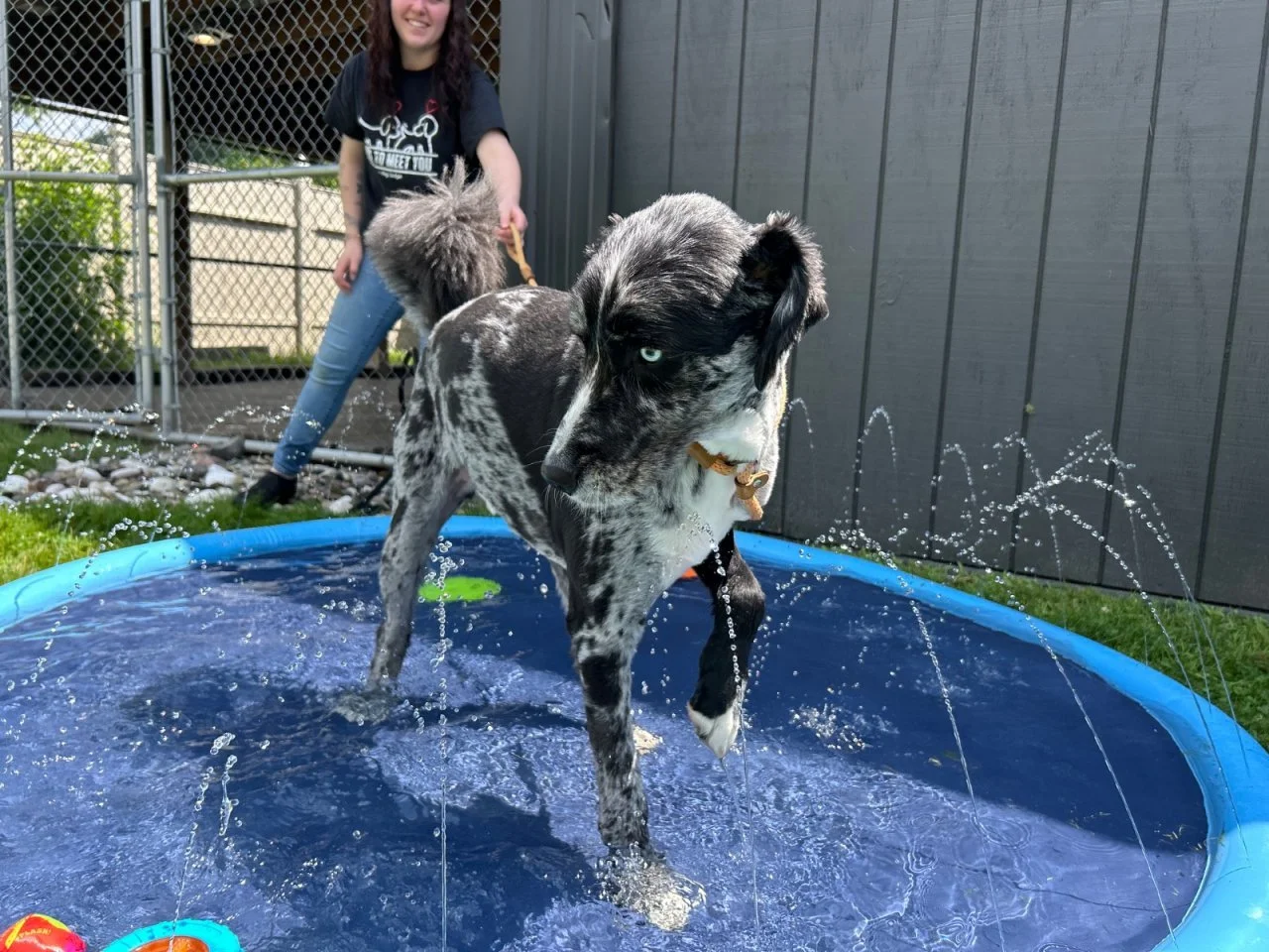 Splash Bash (14).jpeg