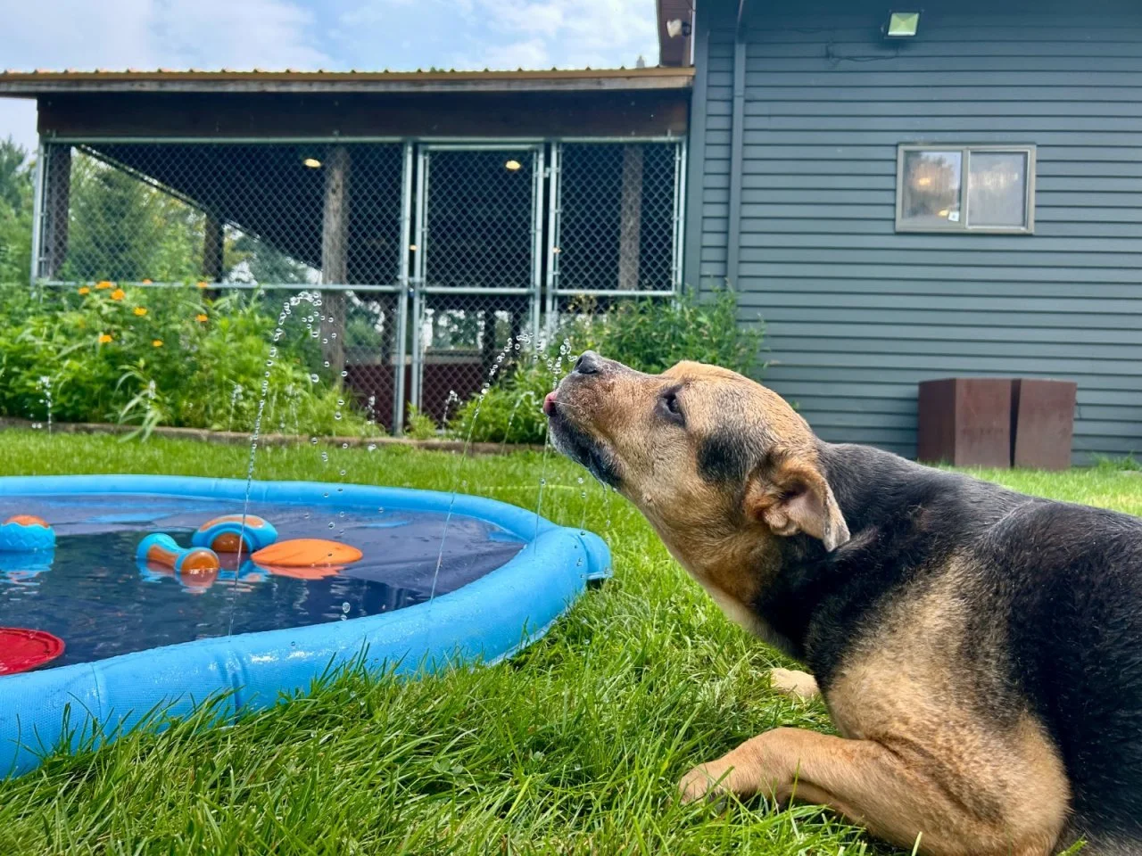 cf726163564ab8cb74084ce2d5f3ca85.jpeg
