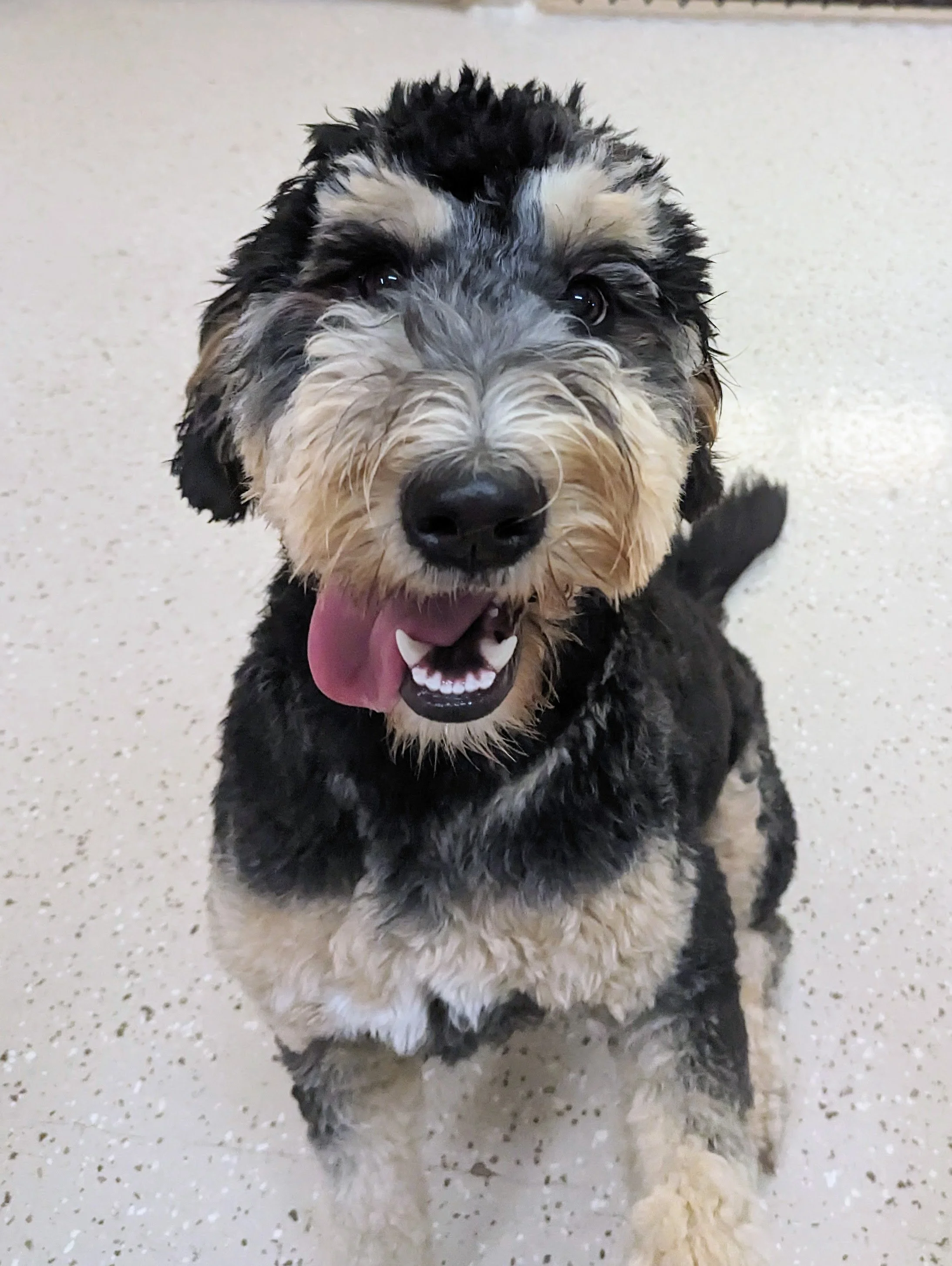 PXL_20231114_154752150 (1).jpg