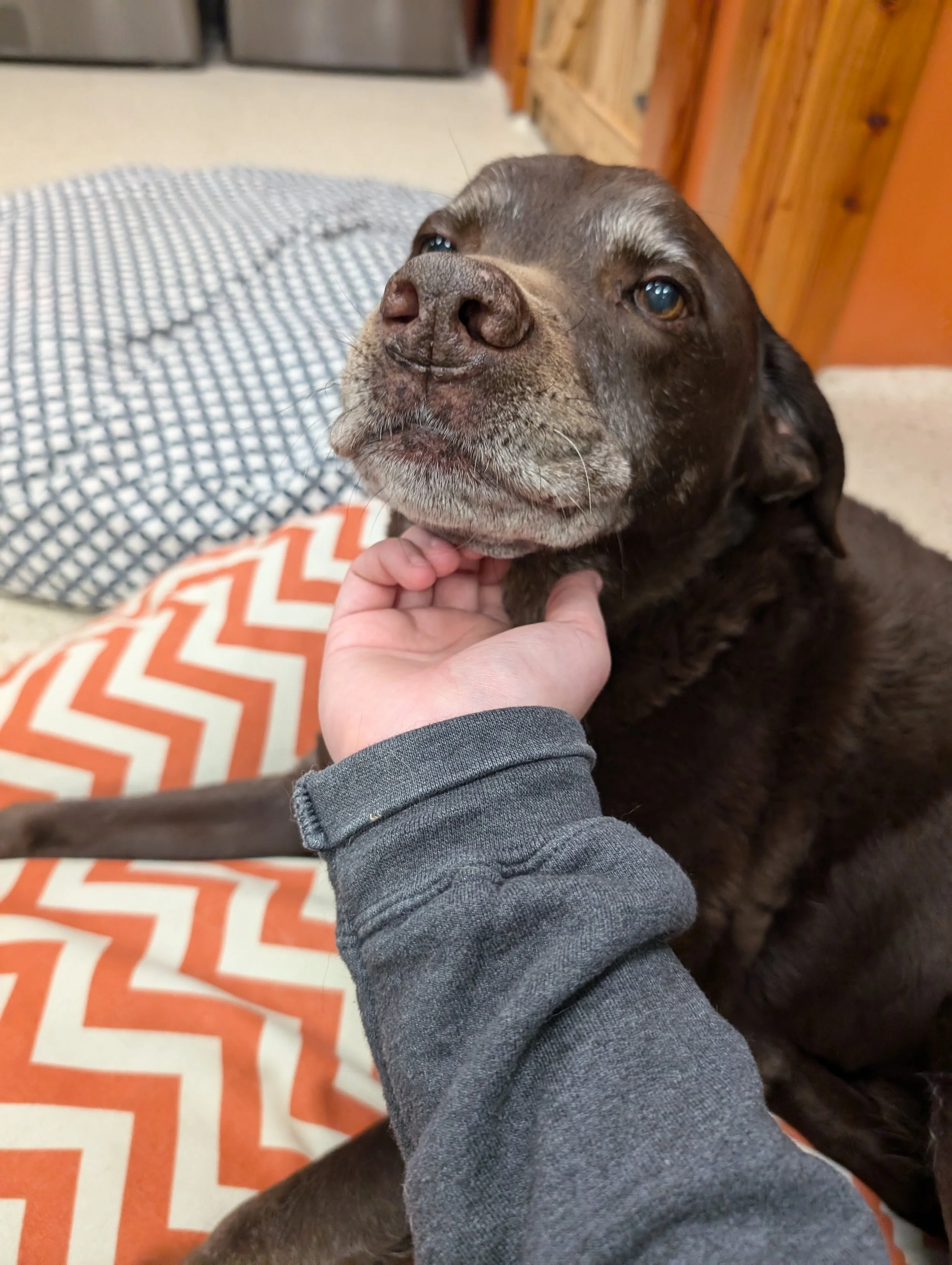 PXL_20250601_114035510 (1).jpg