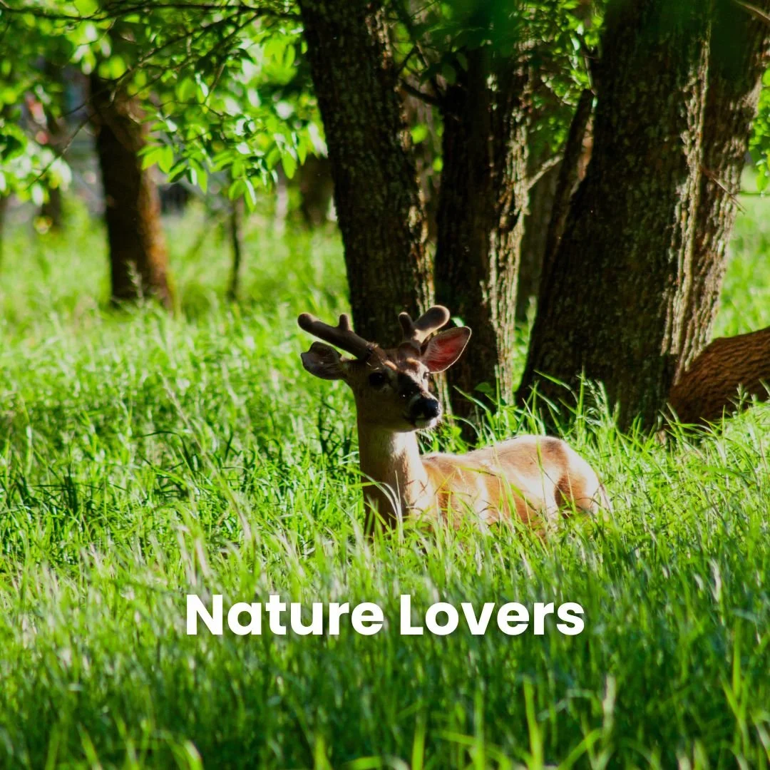 perfect_for_nature_lovers.jpg