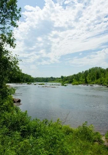 provincial_parks_whitemouth_falls_09.jpg