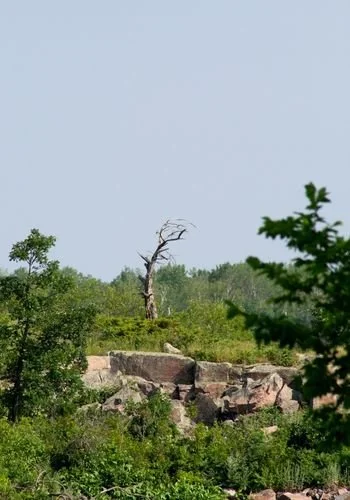 winnipeg_river_dams_mcarthur_02.jpg