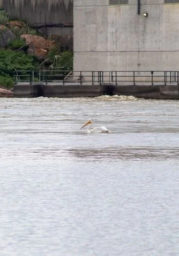 winnipeg_river_dams_mcarthur_06.jpg