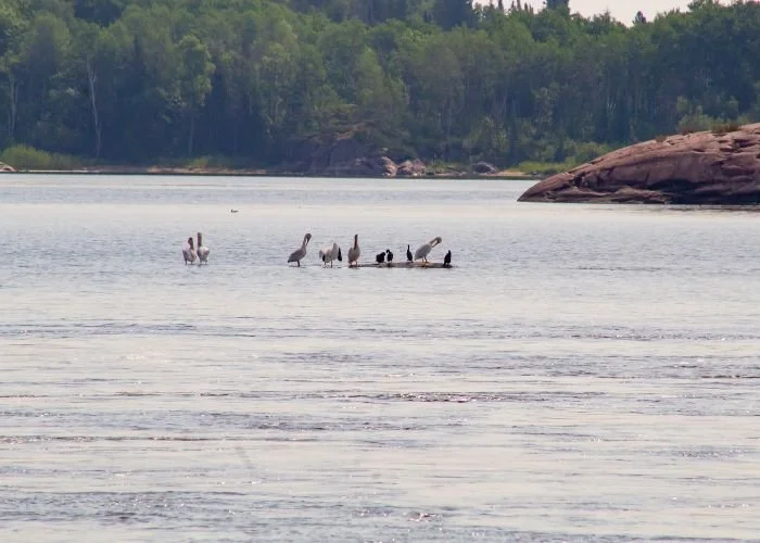 winnipeg_river_dams_mcarthur_12.jpg