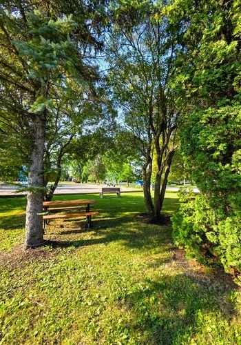 lacdubonnet_memorial_park_03.jpg