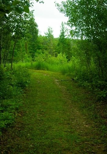 lacdubonnet_blueberry_rock_trail_03.jpg