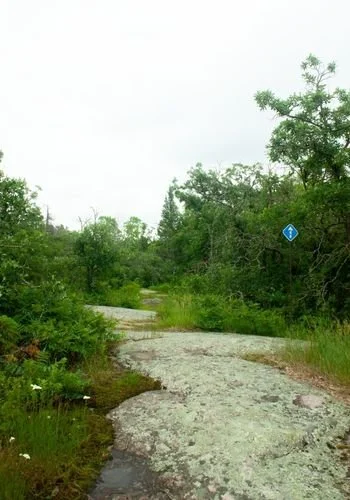 lacdubonnet_blueberry_rock_trail_04.jpg