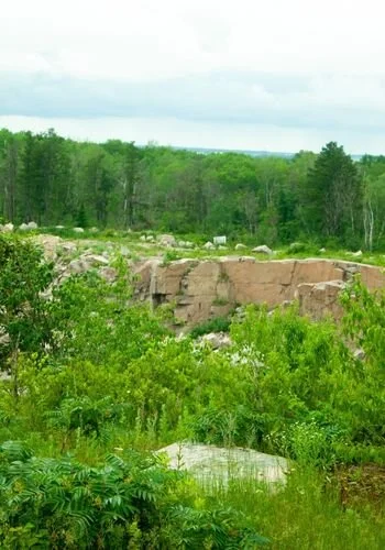 lacdubonnet_blueberry_rock_trail_07.jpg