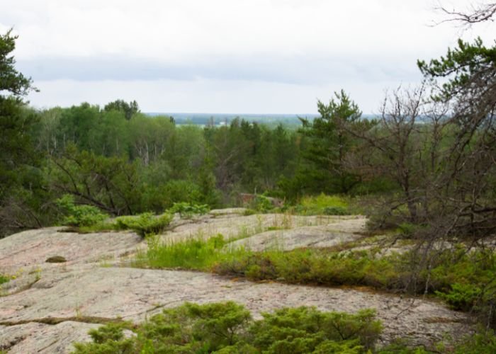 lacdubonnet_blueberry_rock_trail_11.jpg