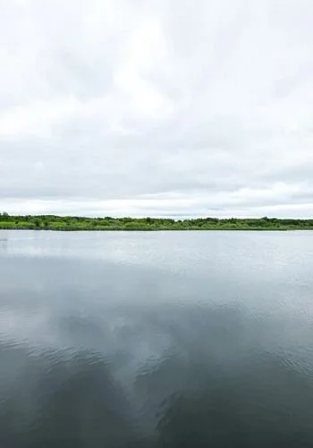 lacdubonnet_ponds_01.jpg