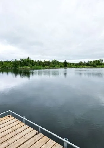 lacdubonnet_ponds_03.jpg