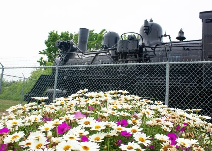 powerviewpinefalls_train_03.jpg