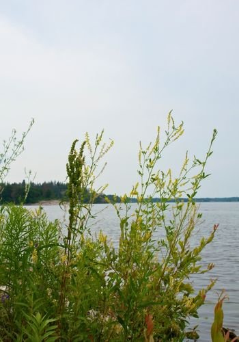 powerviewpinefalls_fishing_05.jpg