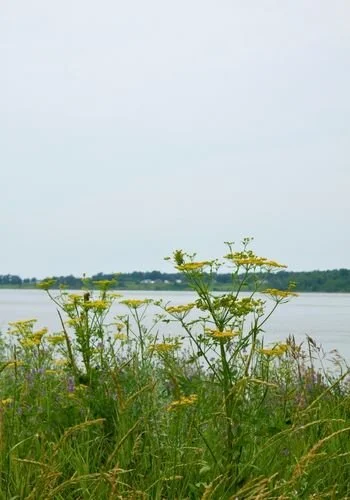 powerviewpinefalls_sharpes_point_07.jpg