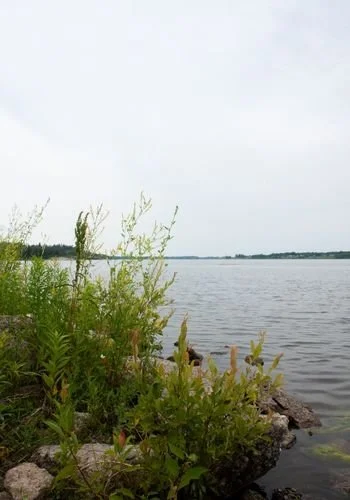 powerviewpinefalls_sharpes_point_10.jpg