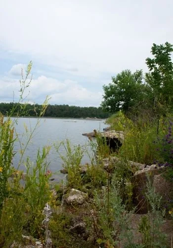powerviewpinefalls_sharpes_point_11.jpg