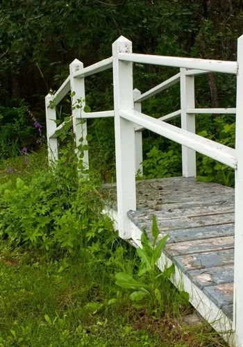 powerviewpinefalls_pitre_park_05.jpg