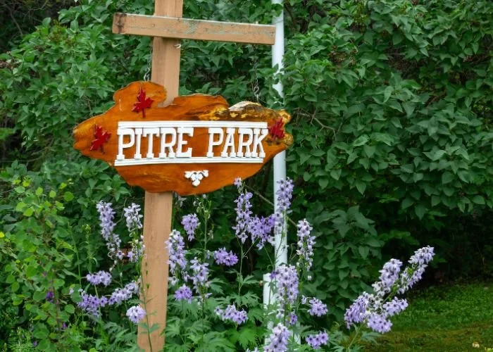 powerviewpinefalls_pitre_park_08.jpg