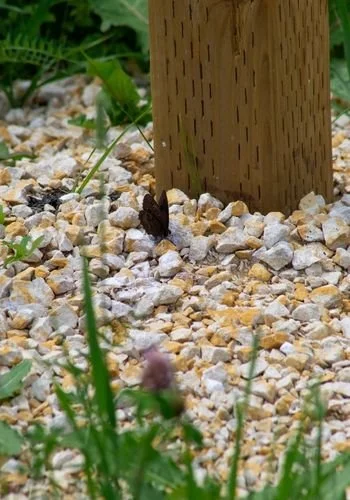 rm_alexander_jardin_papilio_garden_14.jpg