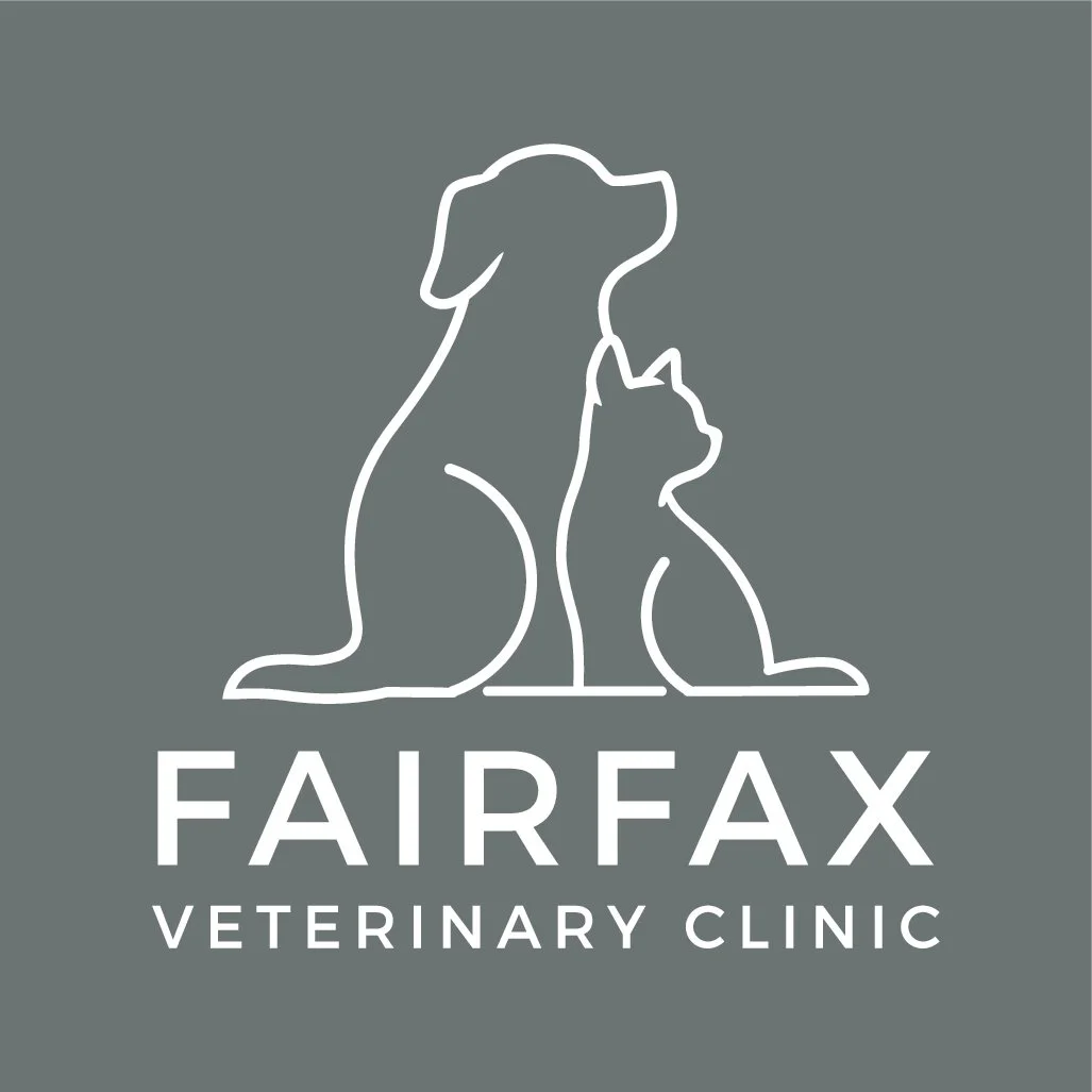 Team — Fairfax Veterinary Clinic