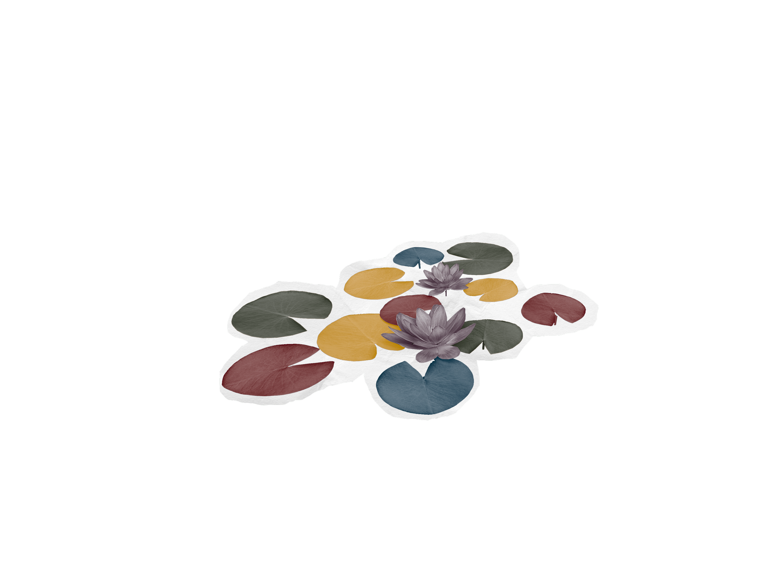 Poetry_Book_Lilypad-min.png