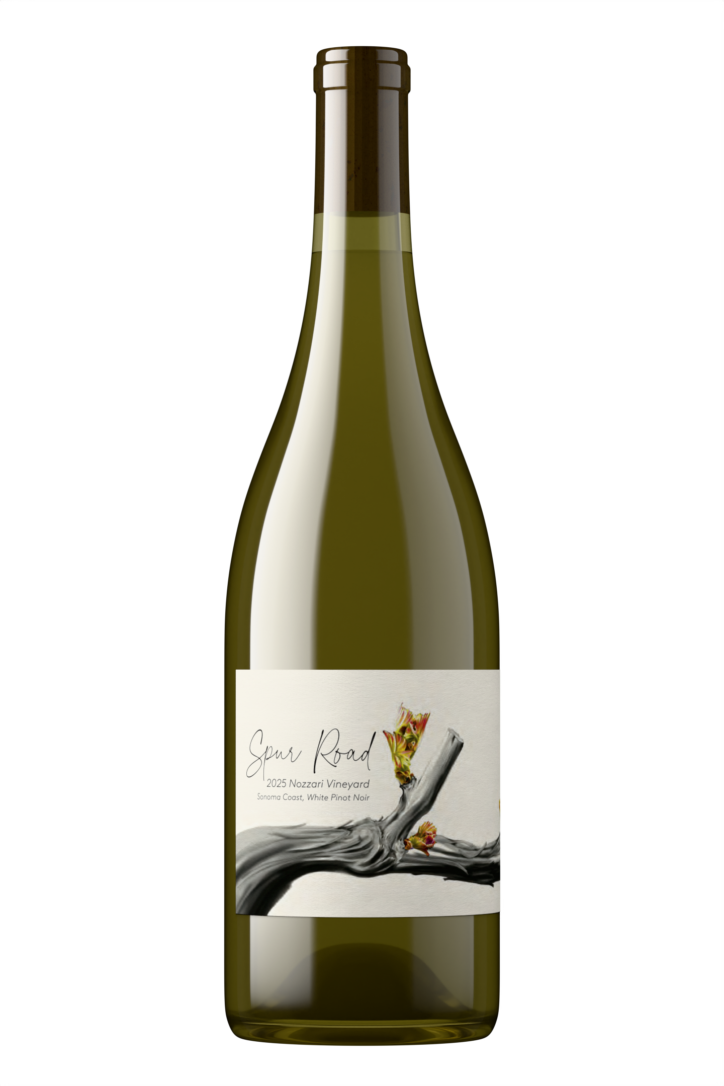 A wine bottle labeled "Spur Road 2024 Nozzari Vineyard, Sonoma Coast, White Pinot Noir" standing in front of a large wooden wine barrel on a concrete floor.
