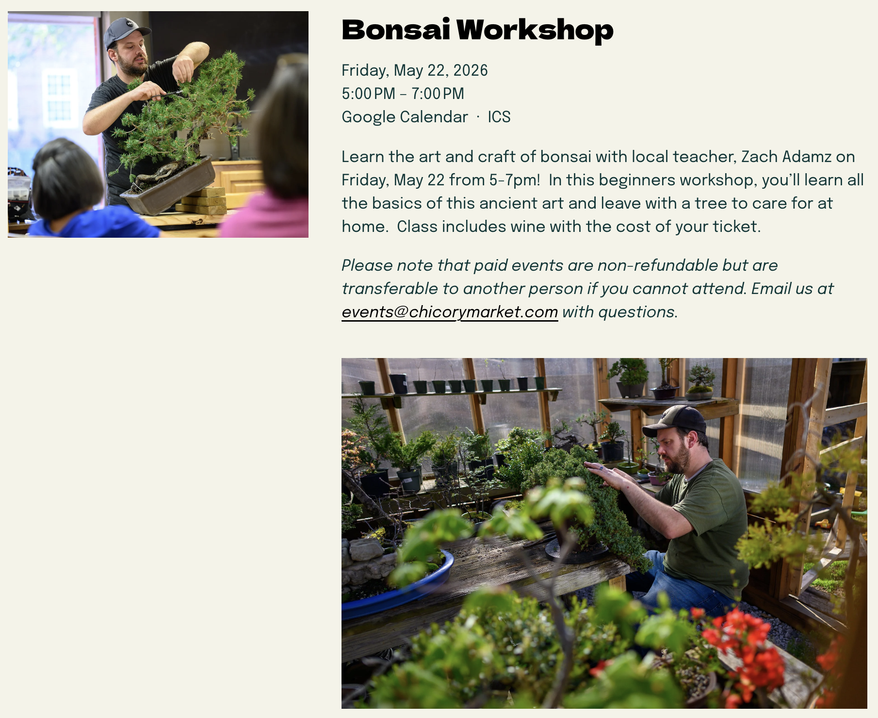 Chicory Market Bonsai Workshop