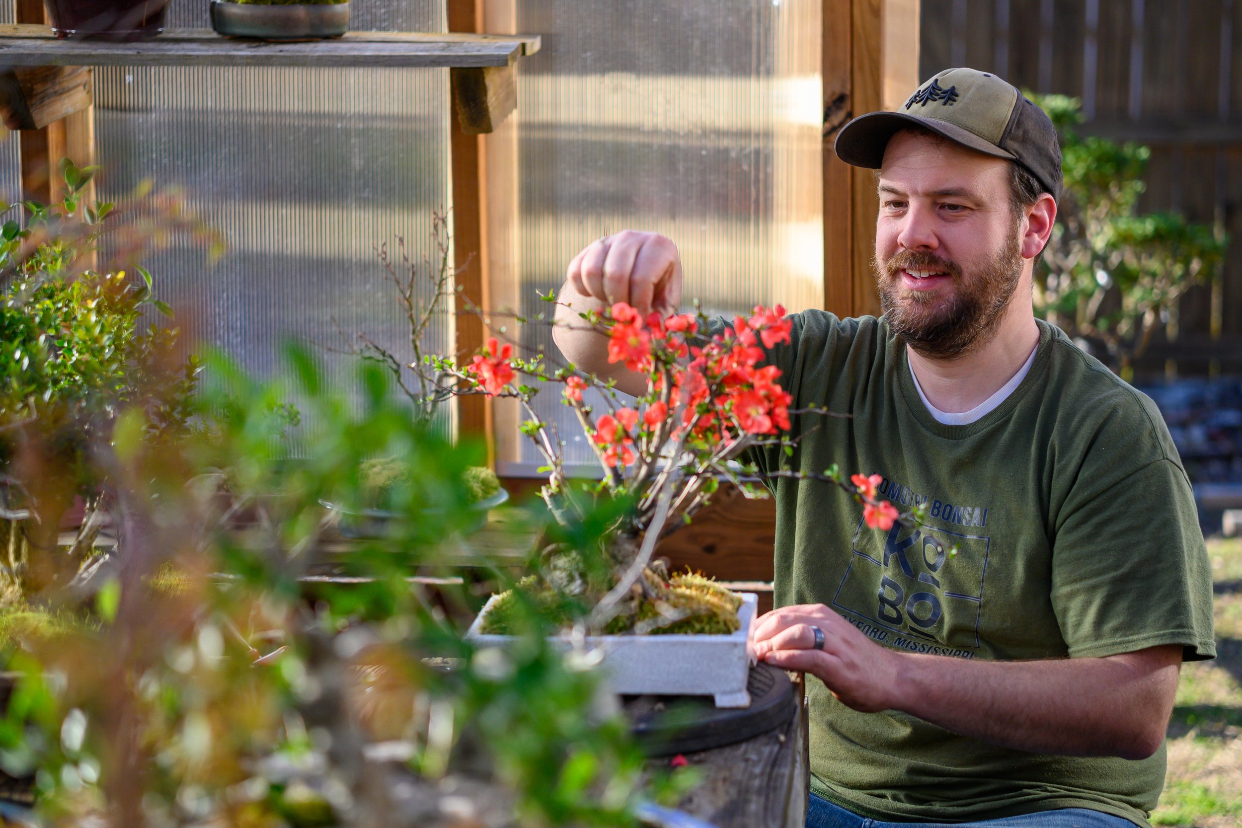 Pine Belt Bonsai Experience